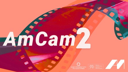 AmCam