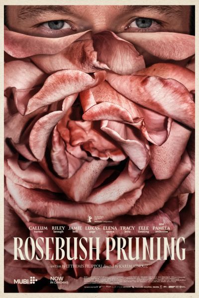 Rosebush Pruning (18)