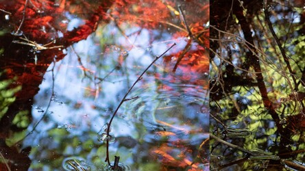 Droichead Arts Centre - 
          Bogland Hero
        