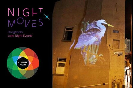 Droichead Arts Centre - 
          Night Moves | Culture Night Late | Night Pools
        