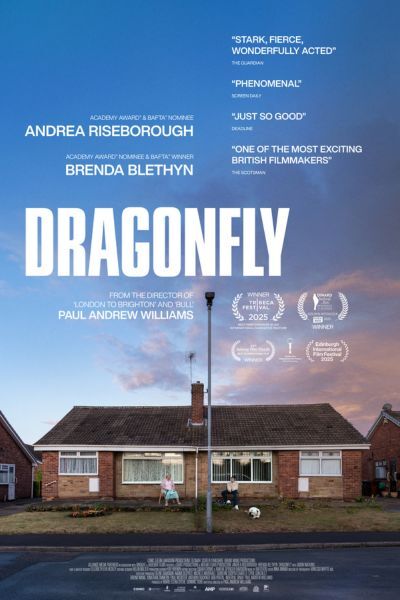  Dragonfly