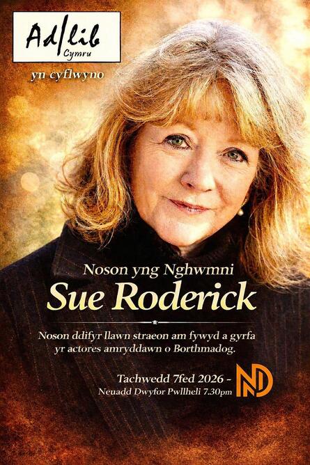
          Noson Yng Nghwmni Sue Roderick
        