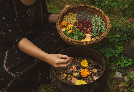 Perlysiau Sanctaidd Prydain / Sacred Herbs of Britain