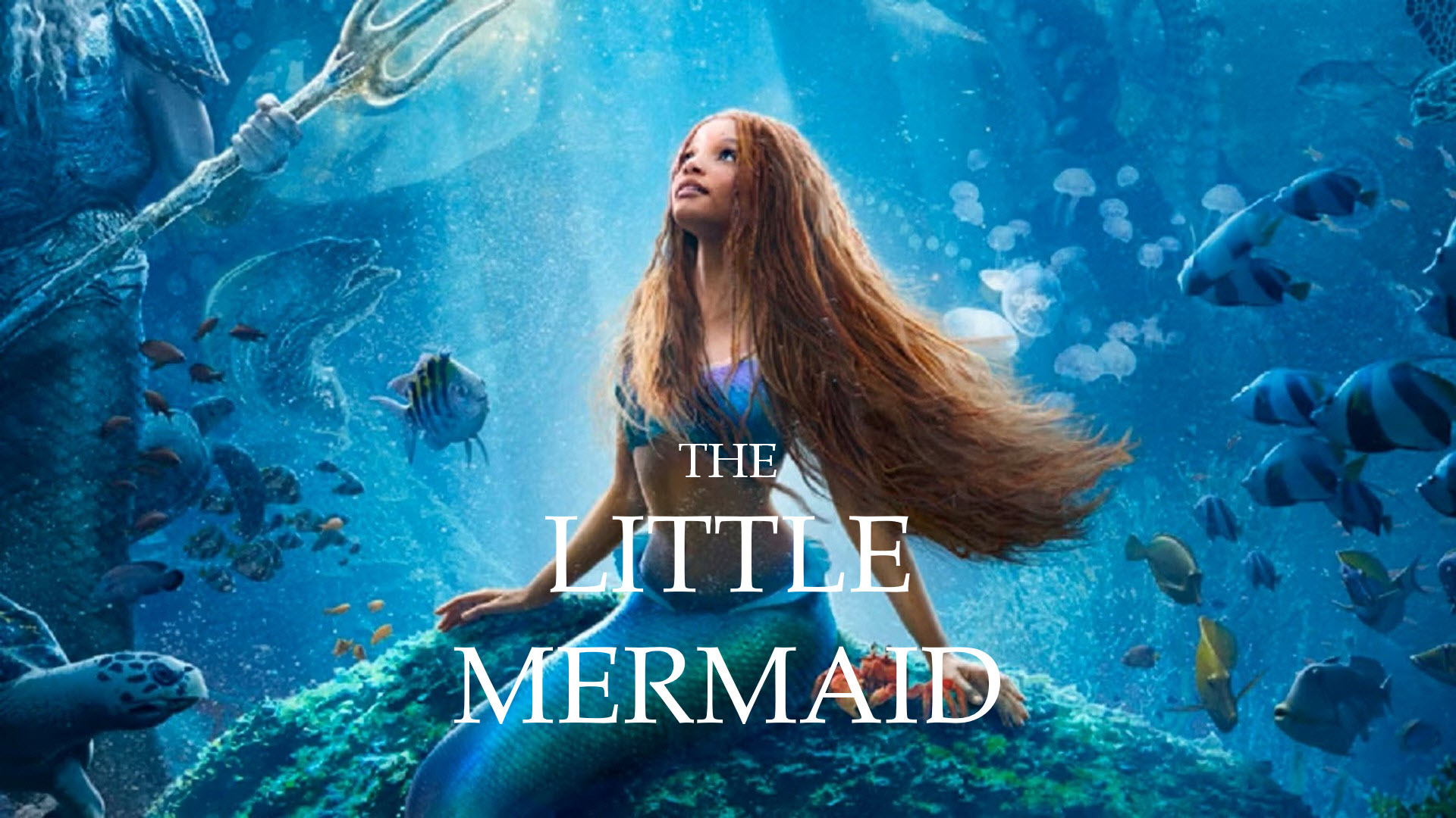 What's On Ropetackle Arts Centre