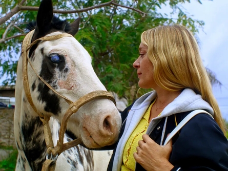 Droichead Arts Centre - 
          Film Club | Magic Farm
        