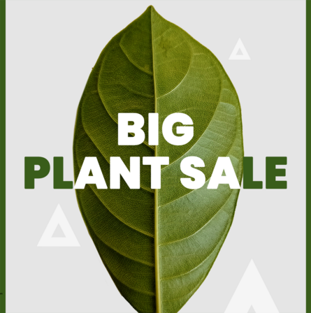 The BIG Plant Sale 2026