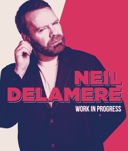 Neil Delamere: Work in Progress at the Viking Theatre poster