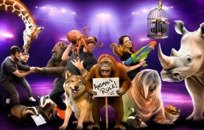 image of Amazing Animals