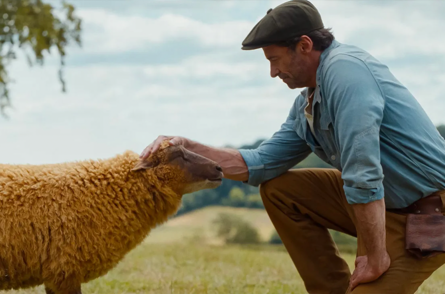 The Sheep Detectives [PG] Dementia Friendly