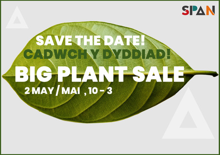 BIG Plant Sale Pitch 2026