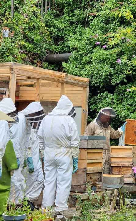 Bee8: Bee-Keeping for Beginners - Liberties Festival 2026 poster