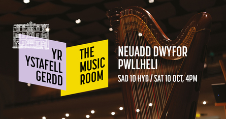 
          Ensemble Cymru: Yr Ystafell Gerdd / The Music Room
        