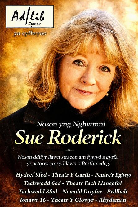 
          Noson Yng Nghwmni Sue Roderick
        