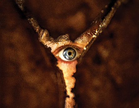 Return to Silent Hill [15]