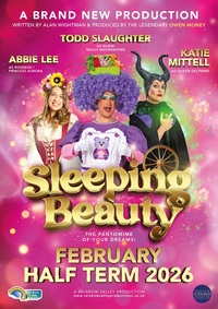 Sleeping Beauty 2026 Poster