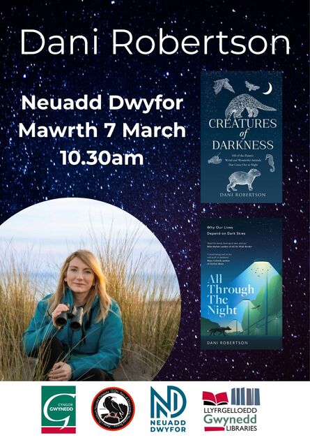 
          Dani Robertson: Bore gyda... / A morning with...
        