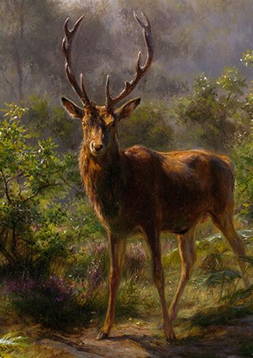 Animals in Art Talk