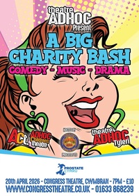Theatre Adhoc and Adhoc Childrenâ€™s Theatre present A BIG CHARITY BASH! Poster