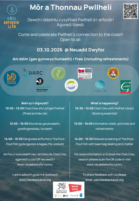 
          Môr a Thonnau Pwllheli: Dathlu'r gymuned, yr arfordir a'r moroedd o amgylch Pwllheli
        