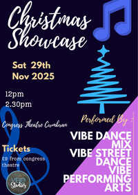 Vibe Christmas Showcase Poster