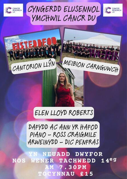 
          Cyngerdd Elusennol Ymchwil Cancr DU
        