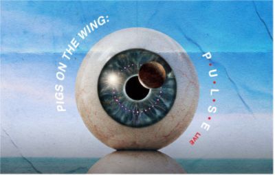 Thumbnail for Pigs on the Wing