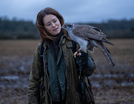 H is for Hawk [12A] Is-deitlau | Subtitles