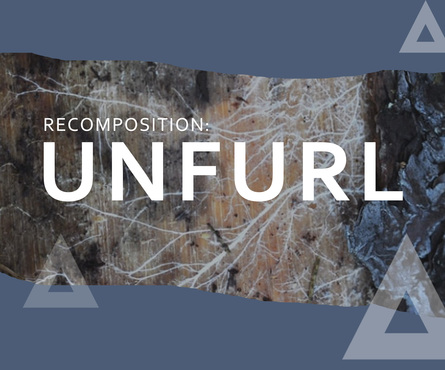 Recomposition: Unfurl - Creative Writing Workshop